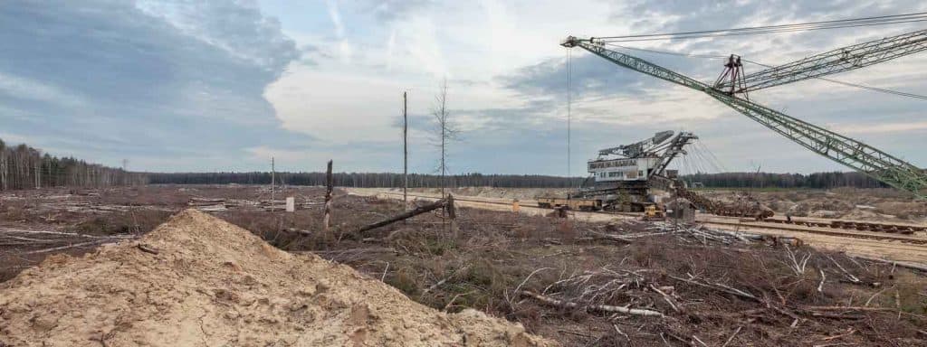 La deforestación causa el cambio climático